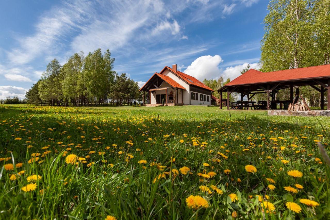 Przytulisko Stara Kiszewa Villa Eksteriør billede