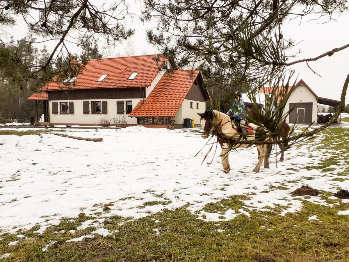 Przytulisko Stara Kiszewa Villa Eksteriør billede